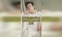 娱乐圈最新爆料王凯小说